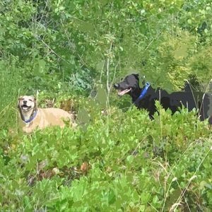 Meet your Posher, Tim